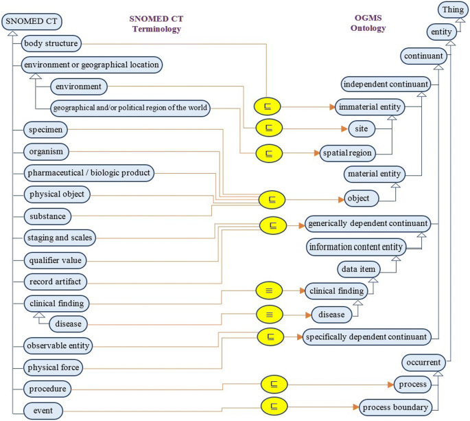 SNOMED CT结构示意图